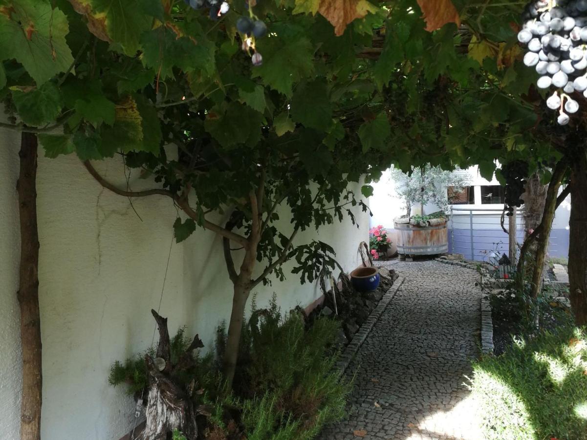 Haus Bienen Bed and Breakfast Ihringen Exteriör bild